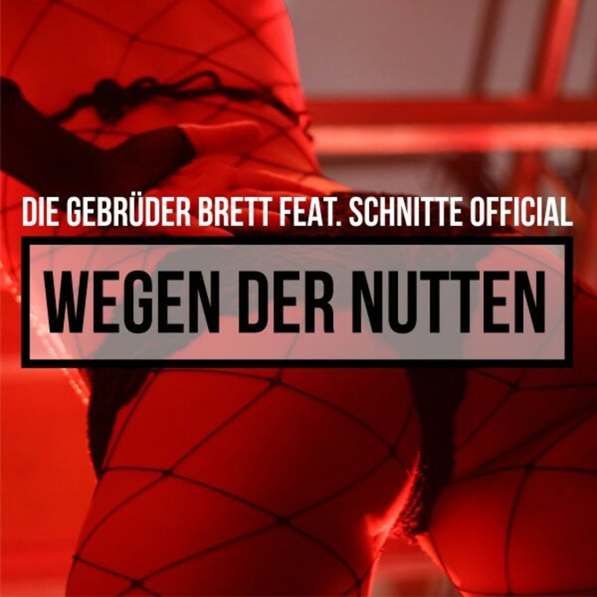 Album cover of Wegen der Nutten