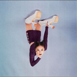 Cover of Irresponsible