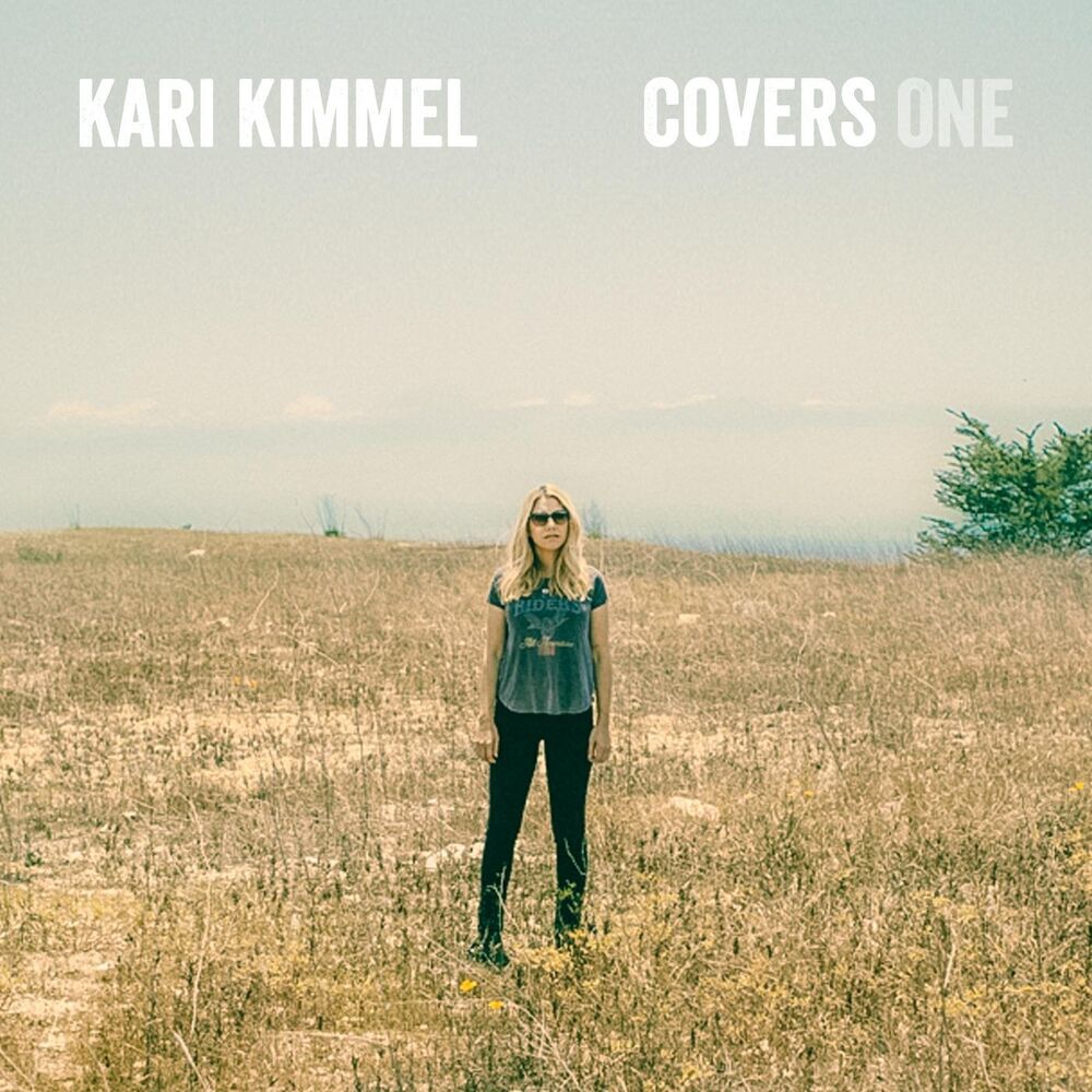 Picture of Covers, Vol. 1