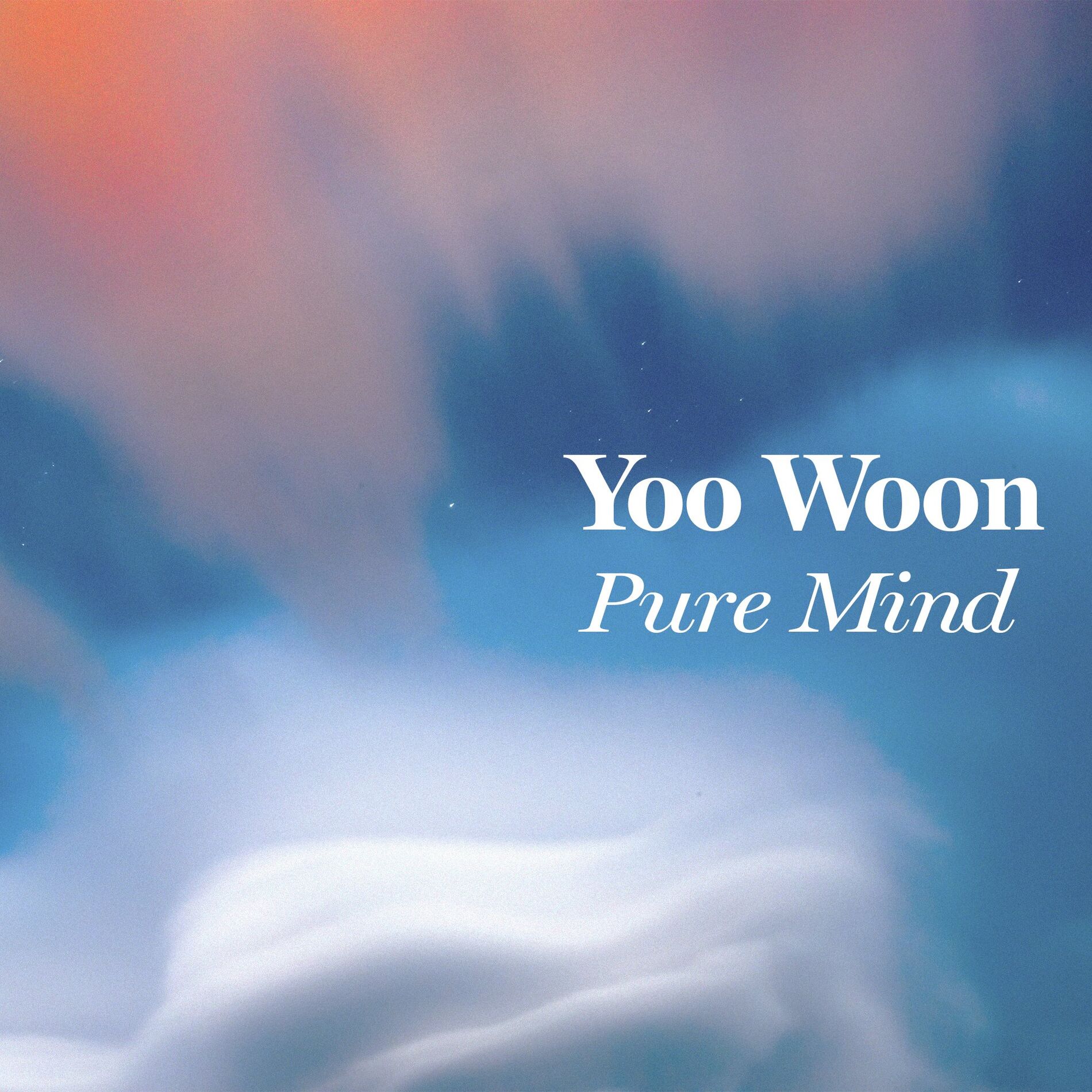 Album cover of Pure Mind