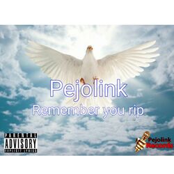 Cover of Remember you