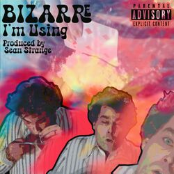 Cover of I'm Using