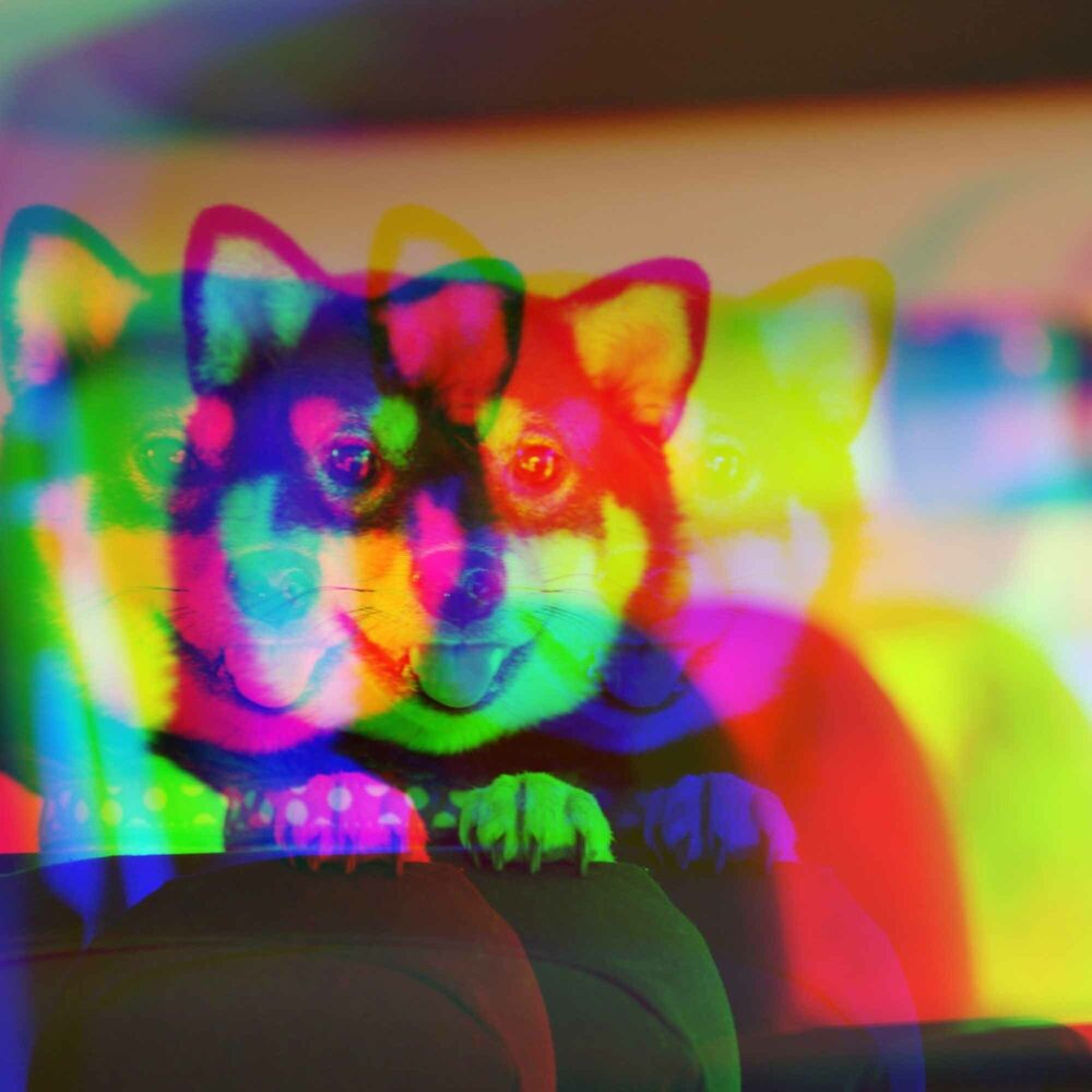 Picture of Music for Roaring Pups - Pulsating Jazz Quintet