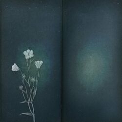Cover of Please Forget Me