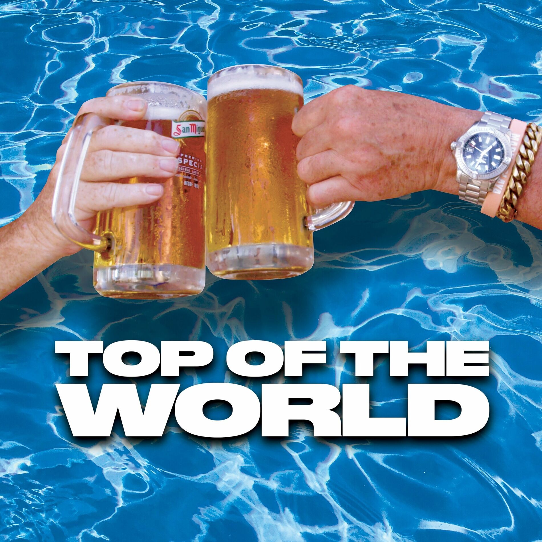 Album cover of Top of the World