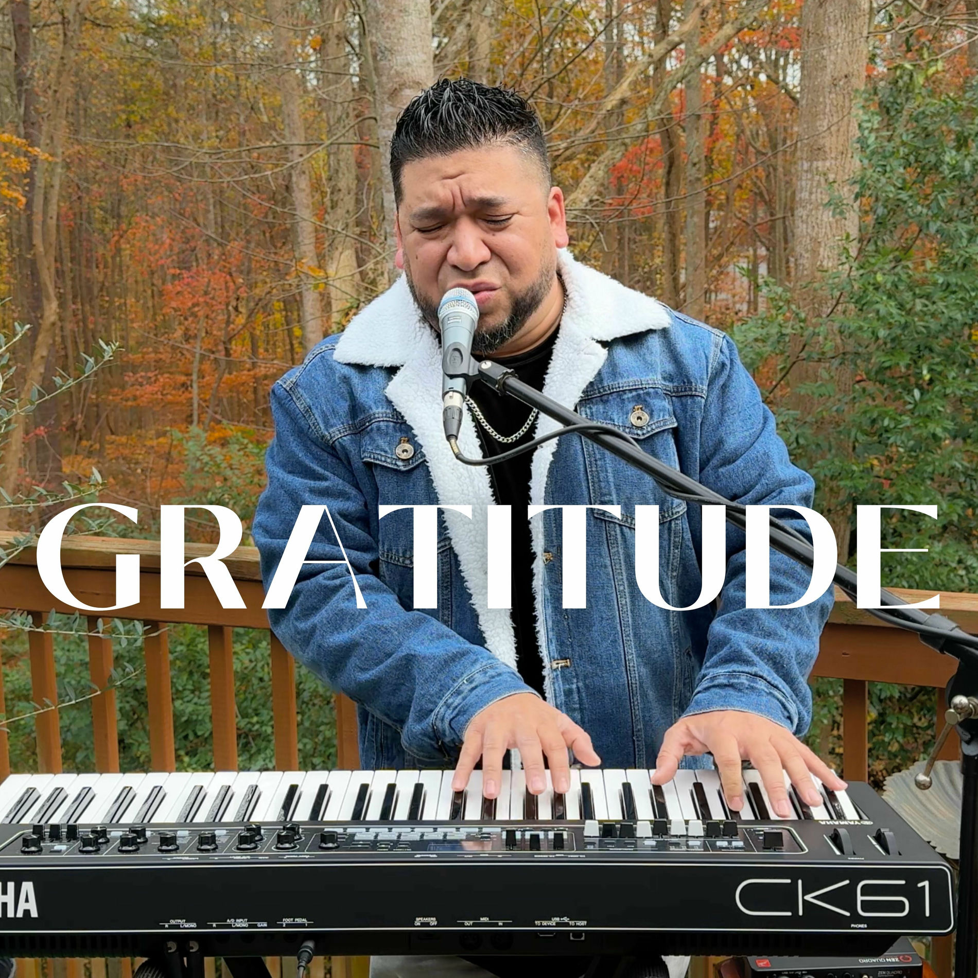 Album cover of Gratitude