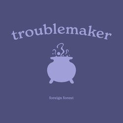 Cover of troublemaker