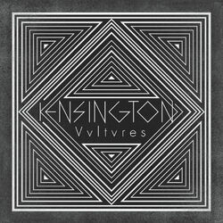 Cover of Vultures