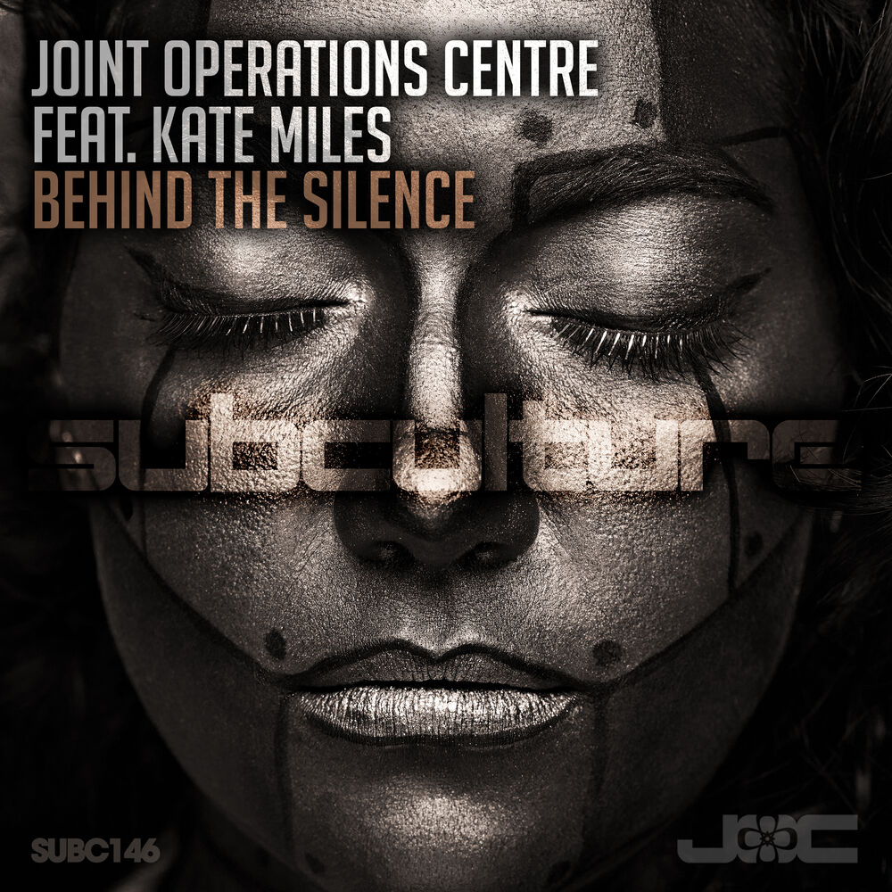 Picture of Behind the Silence