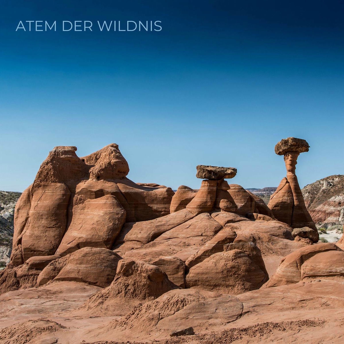 Album cover of Atem der Wildnis