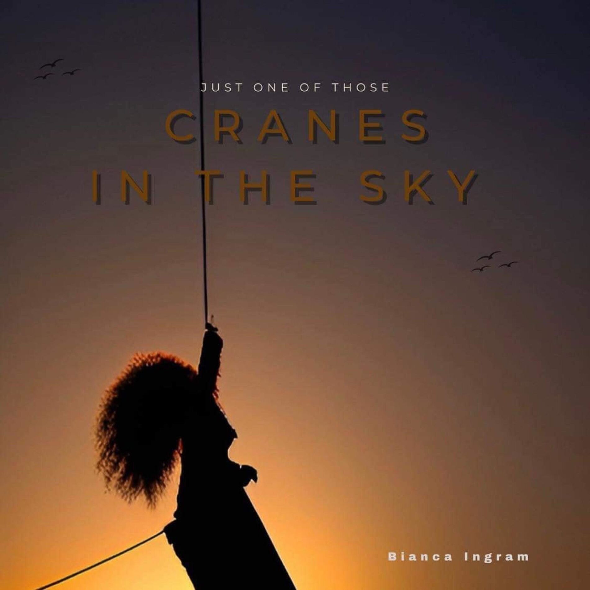 Album cover of Just One of Those Cranes in the Sky