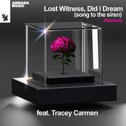 Cover of Did I Dream (Song To The Siren) (Remixes)