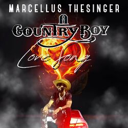 Cover of A CountryBoy Love Song