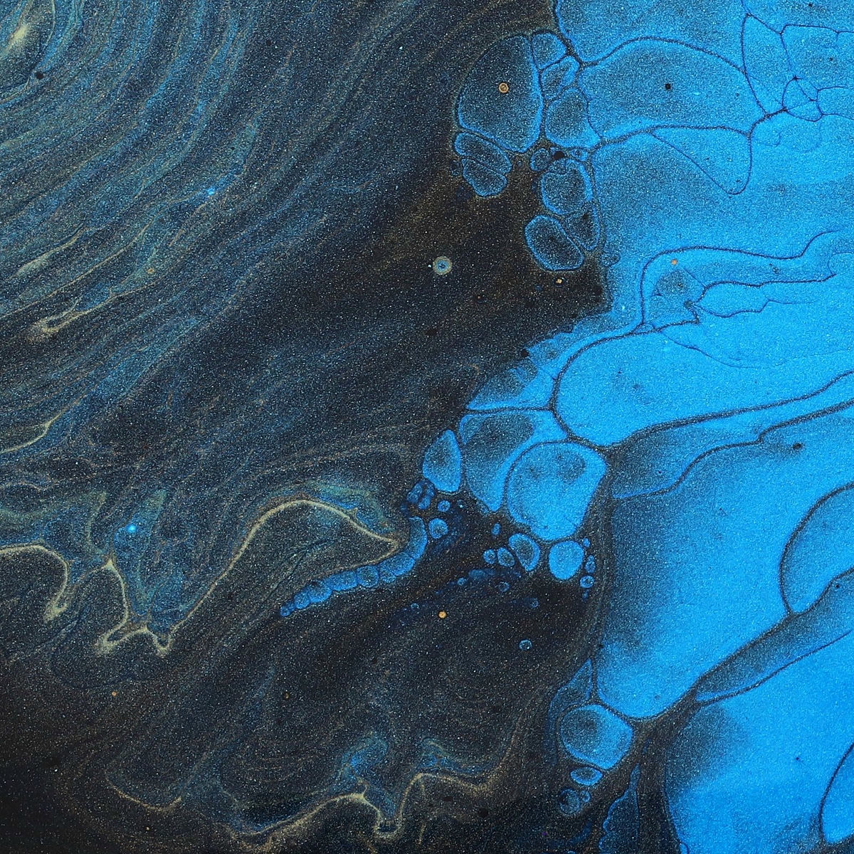 Album cover of Contraluz