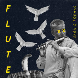 Cover of Flute