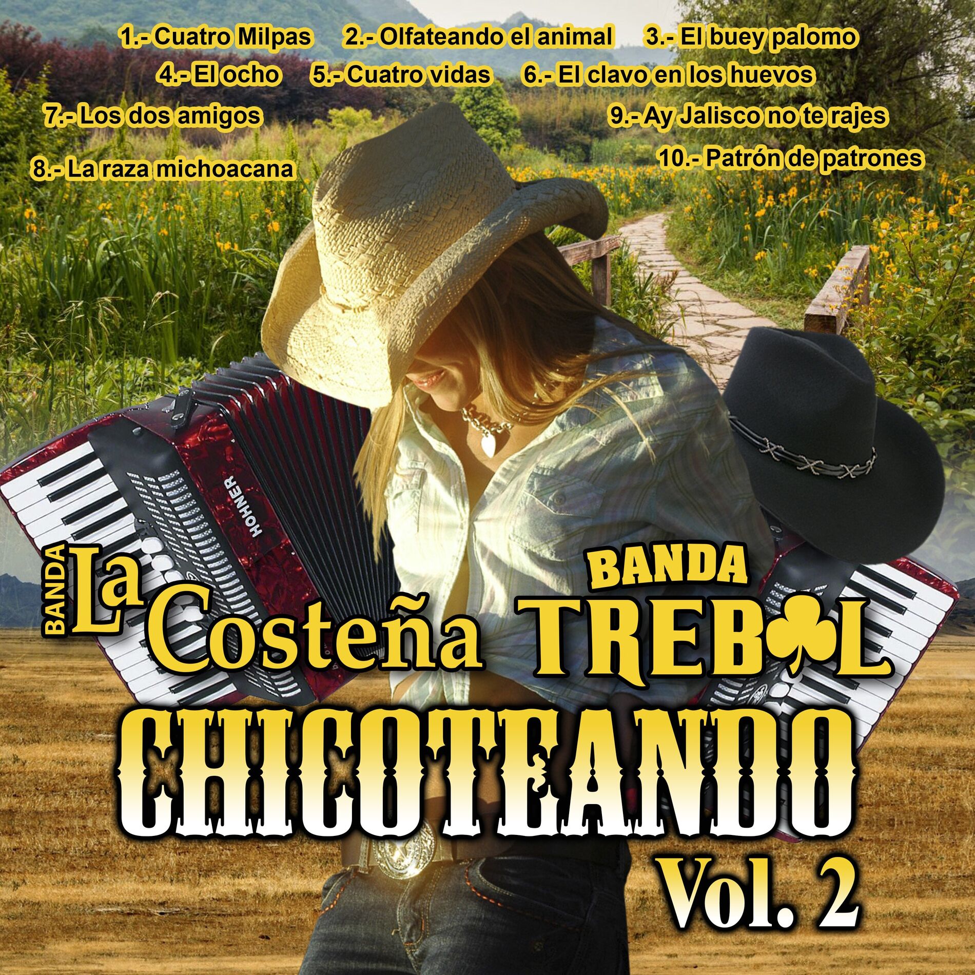 Album cover of Chicoteando, Vol. 2
