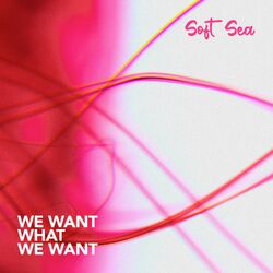 Cover of We Want What We Want