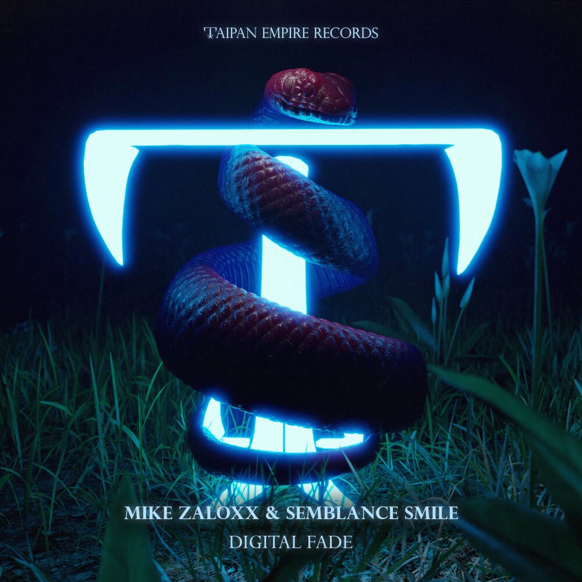 Album cover of Digital Fade