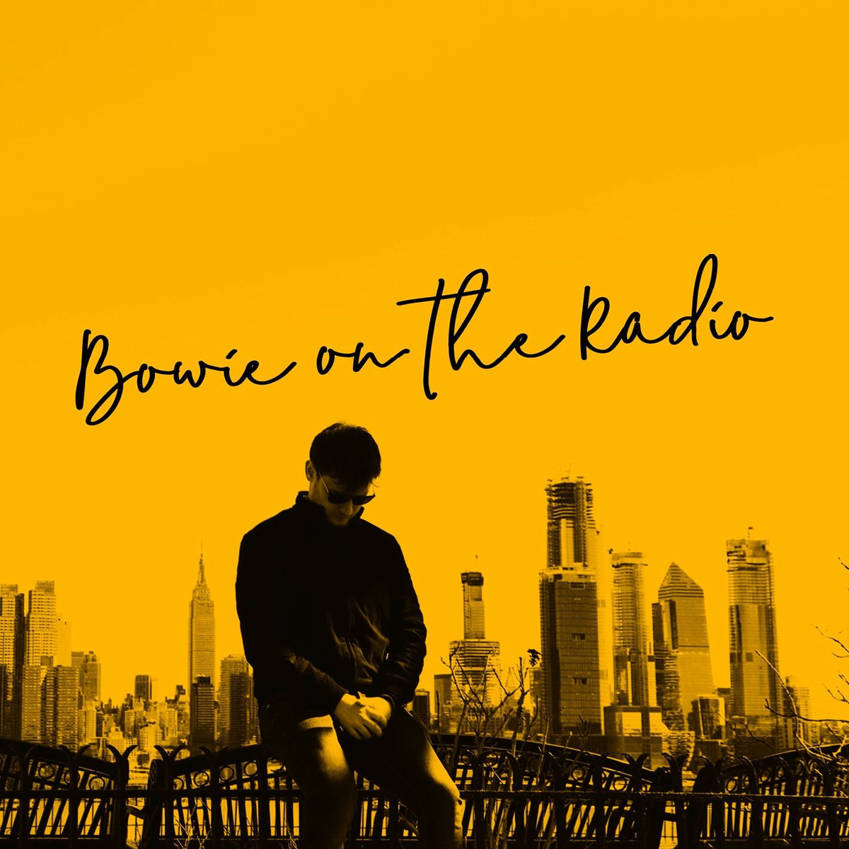 Album cover of Bowie on the Radio