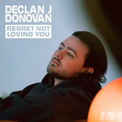 Cover of Regret Not Loving You