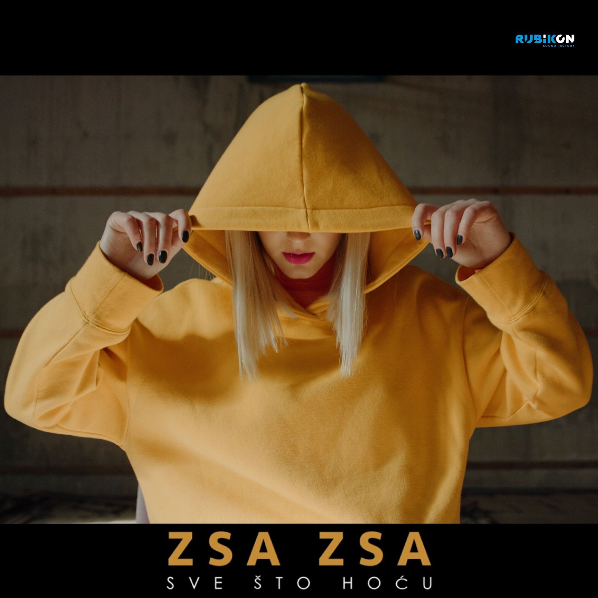 Album cover of Sve Što Hoću