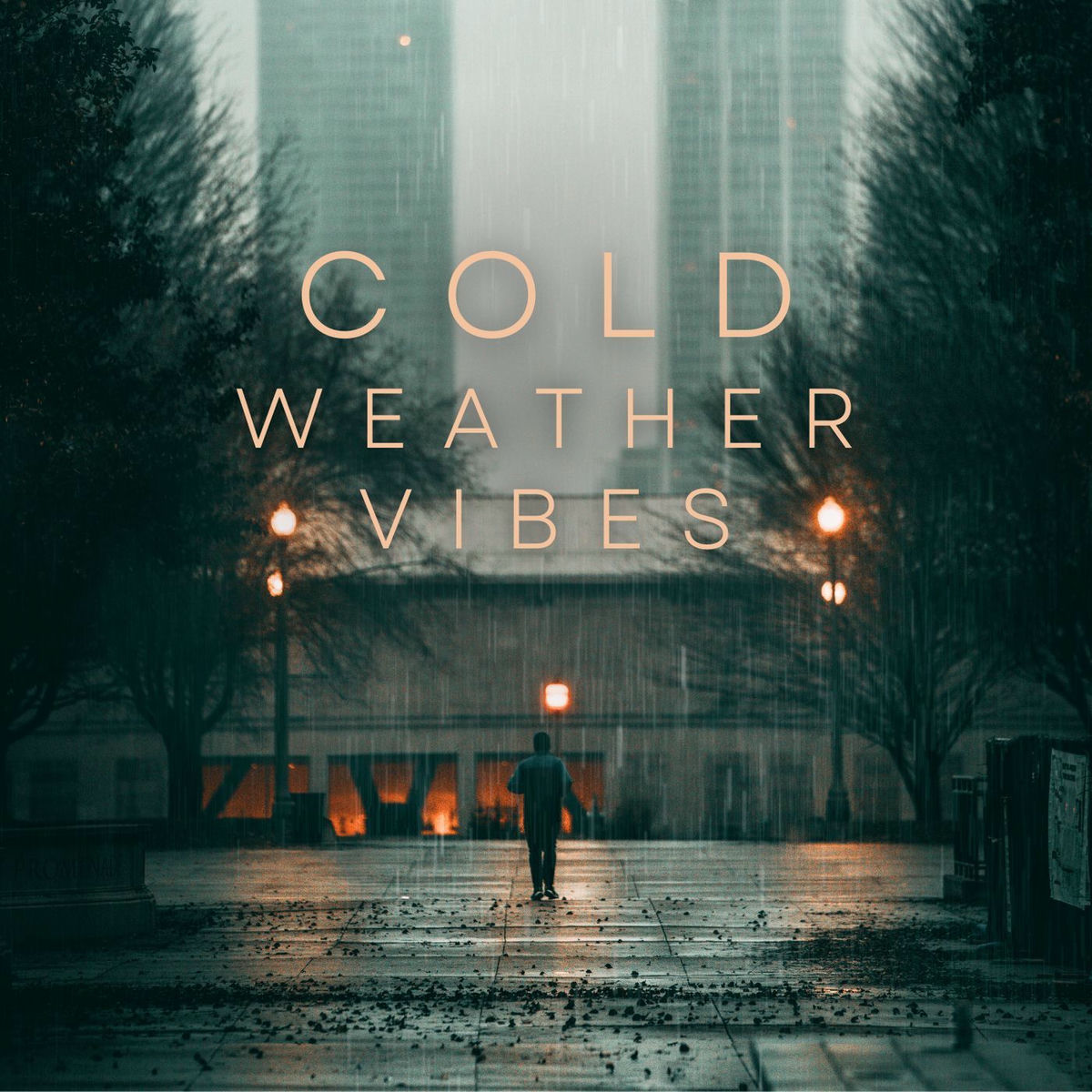Album cover of Cold Weather Vibes