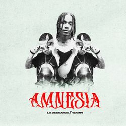 Cover of Amnesia