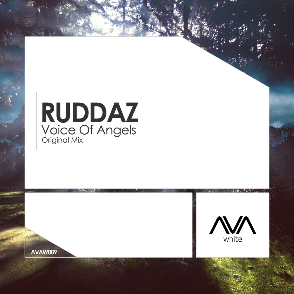 Picture of Voice of Angels