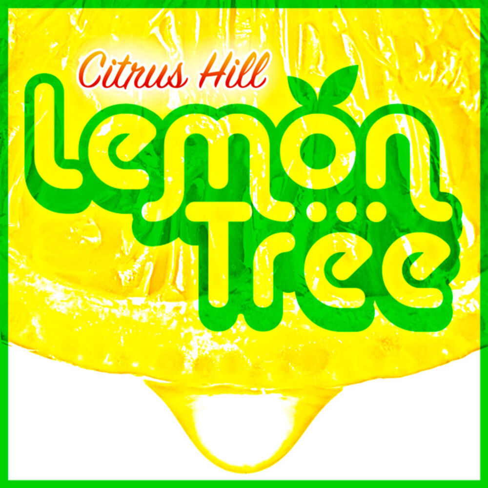 Picture of Lemon Tree
