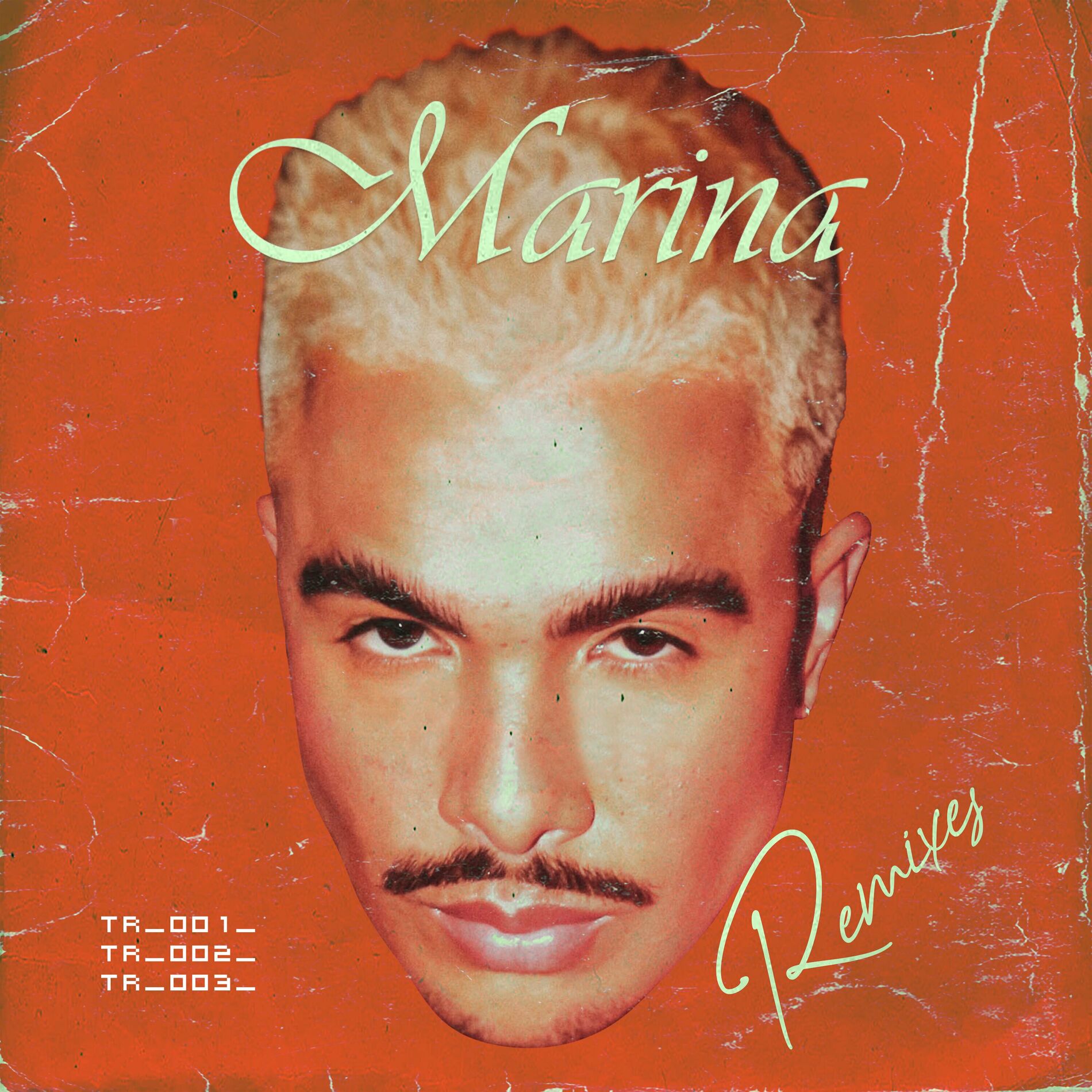 Album cover of Marina Remixes
