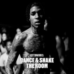 Cover of Cottonwood 2: DANCE & SHAKE THE ROOM