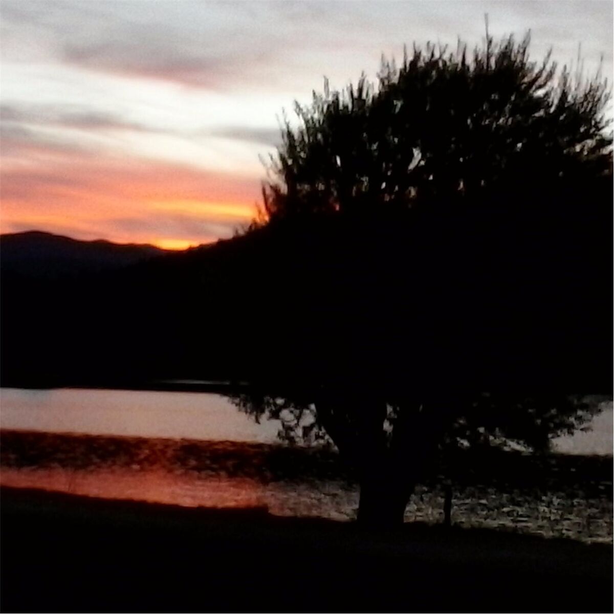 Album cover of Sometimes a Dream (Only Comes True in Your Heart)