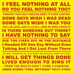 Cover of Feel Nothing