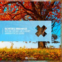 Cover of Nothing Breaks Like A Heart (Darren Porter Remix)