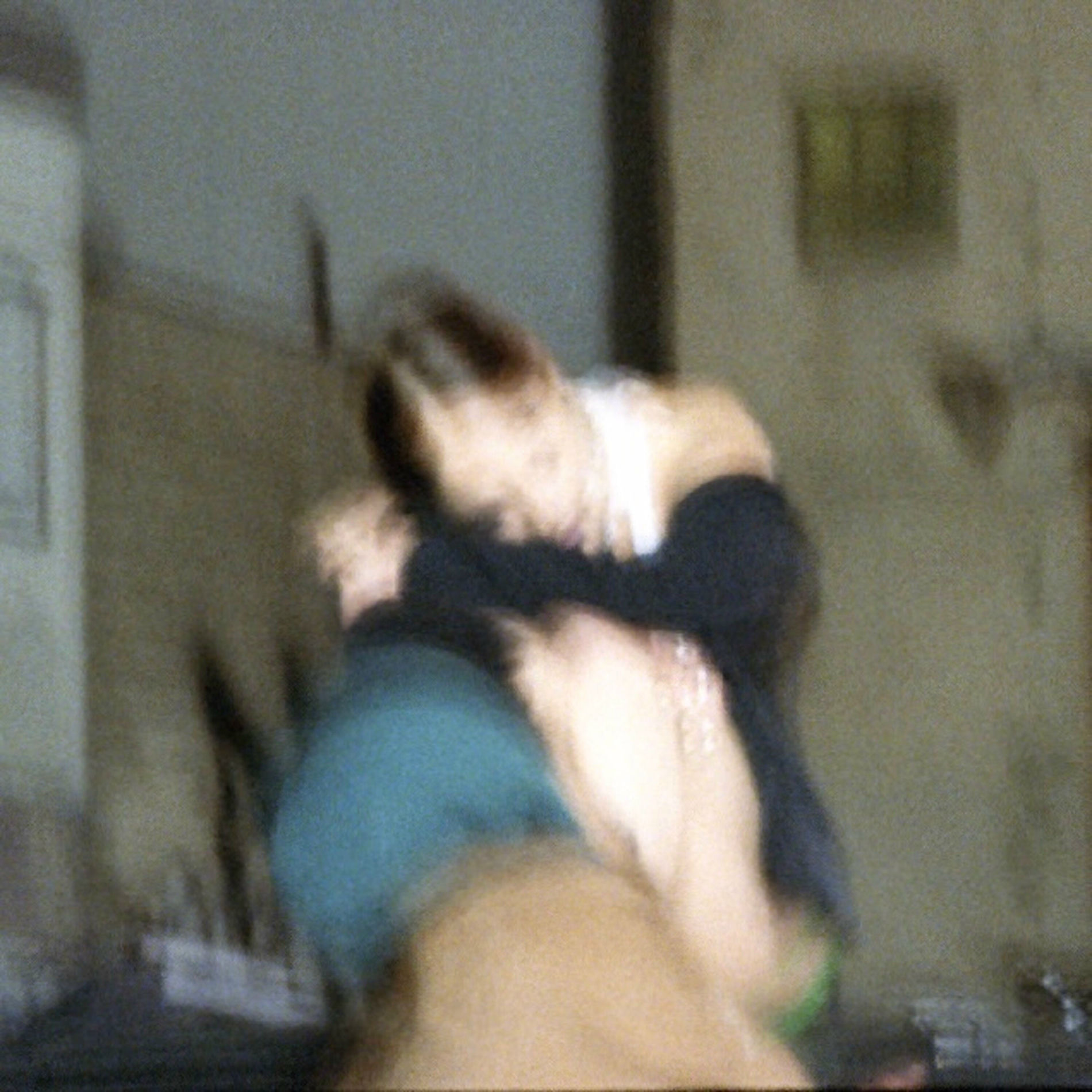 Album cover of despite me