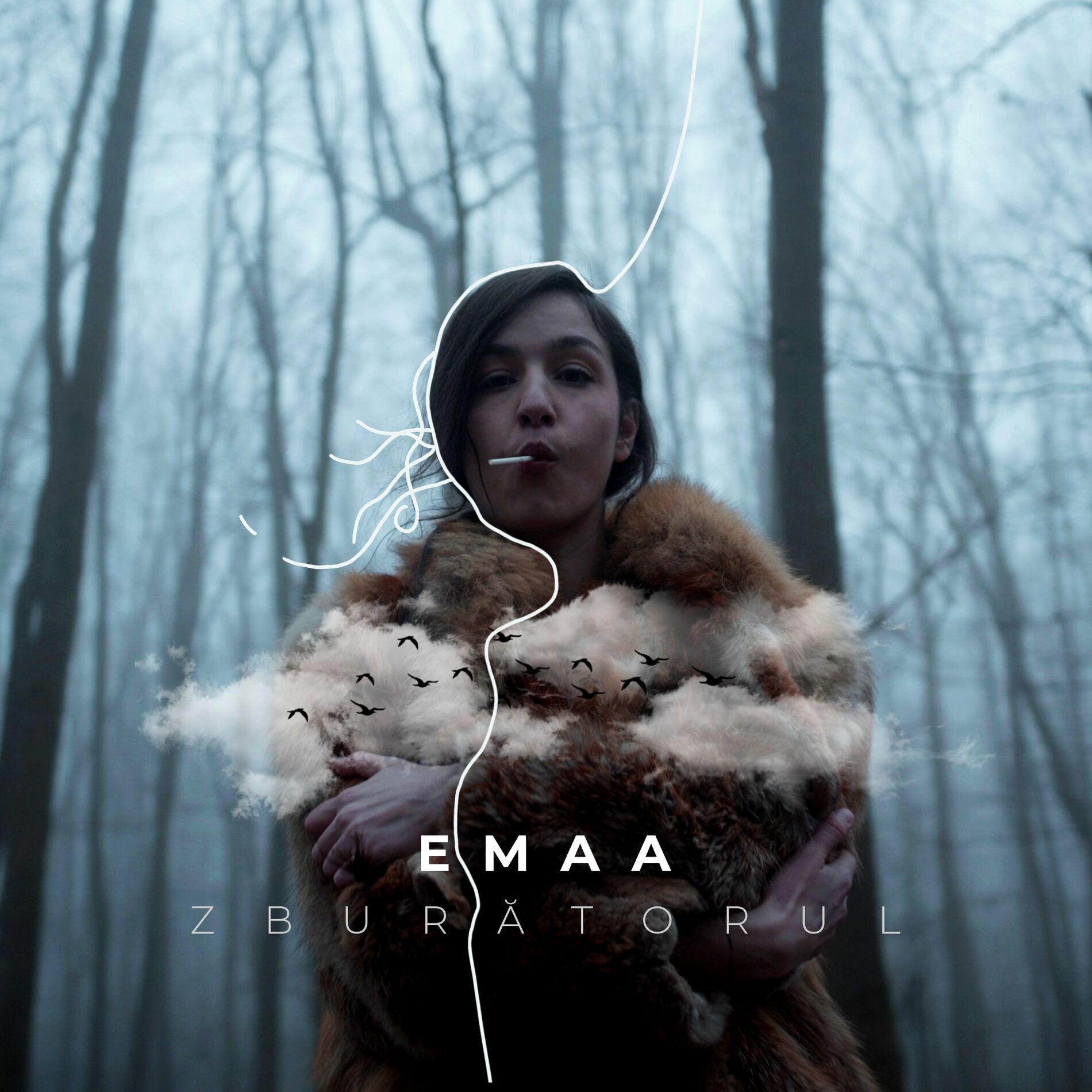 Album cover of Zburătorul