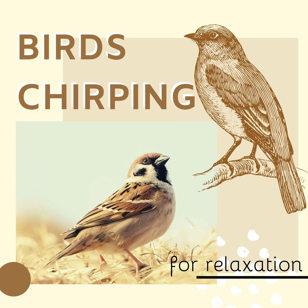 Picture of Birds Chirping for Relaxation CD