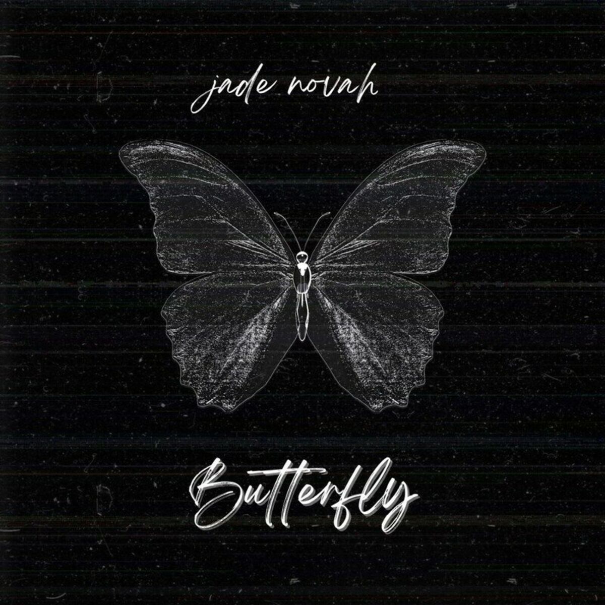 Album cover of Butterfly