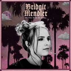 Cover of Do You Miss Me at All