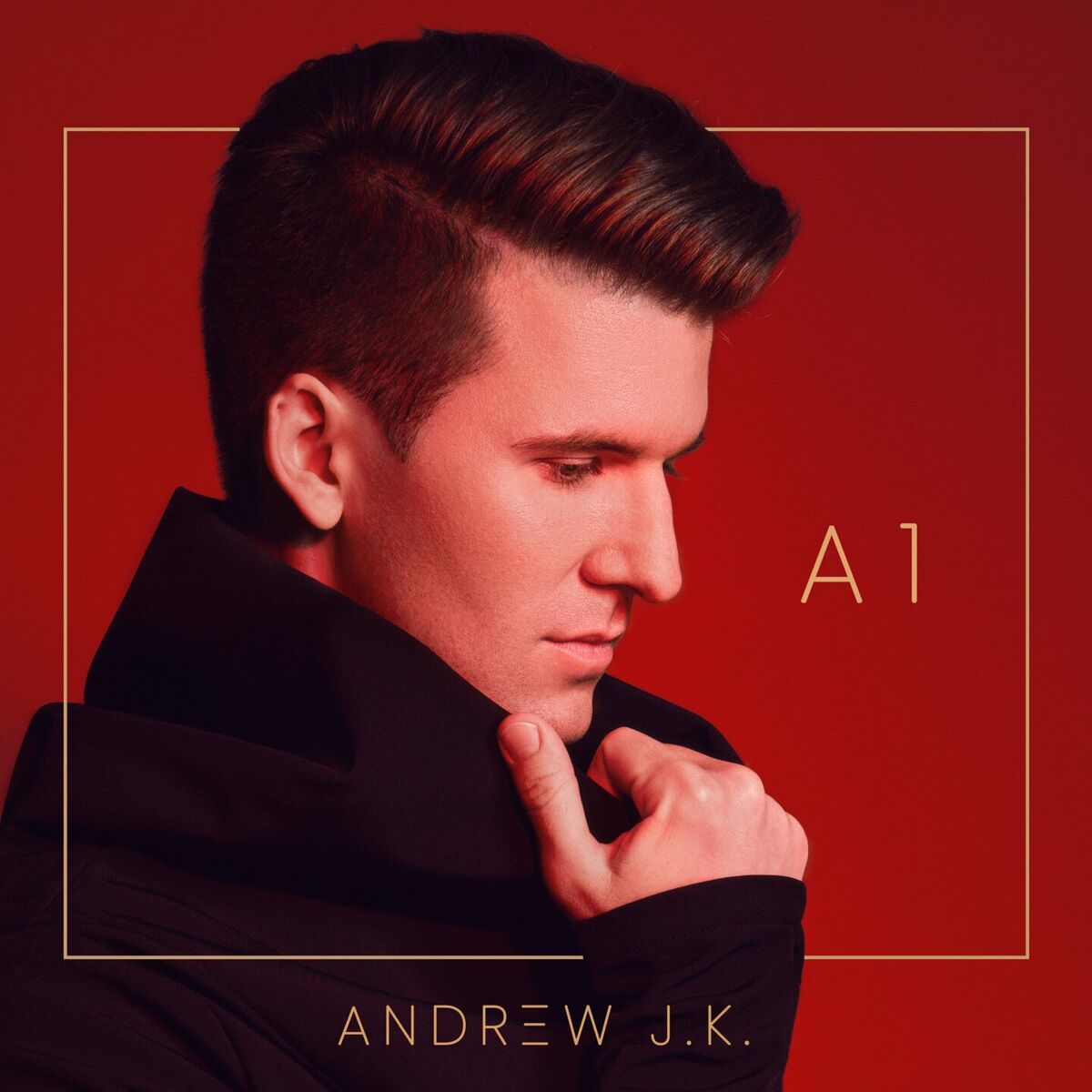 Album cover of A1
