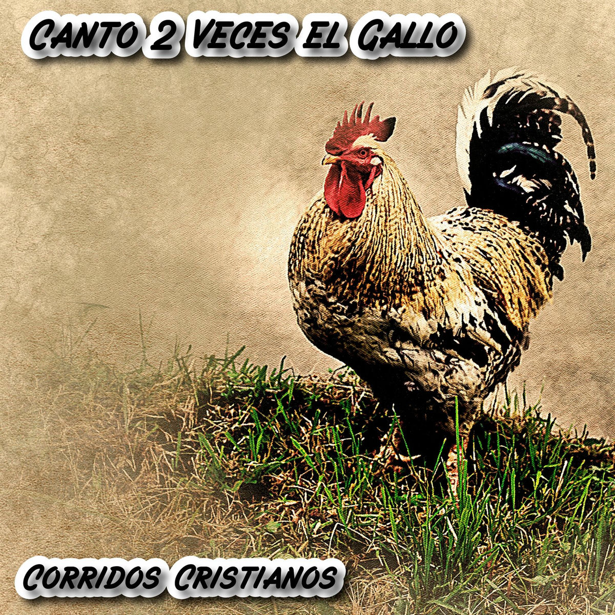Album cover of Cantó 2 Veces el Gallo: Corridos Cristianos