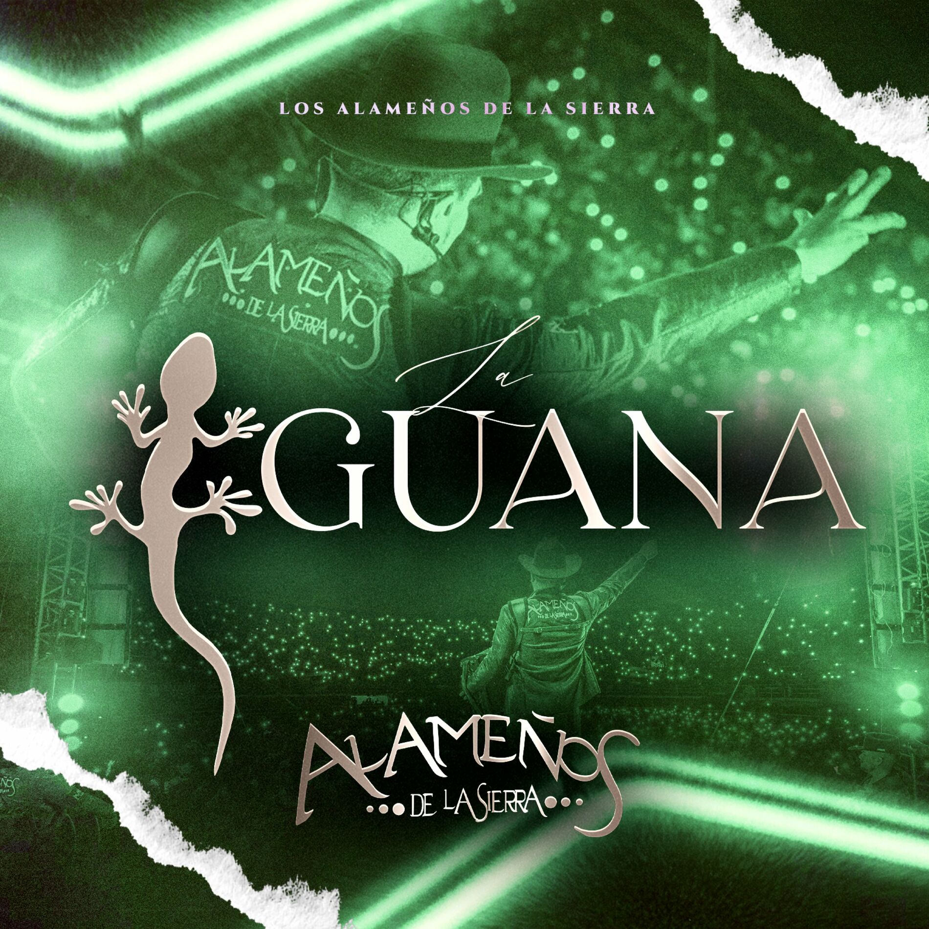 Album cover of La Iguana