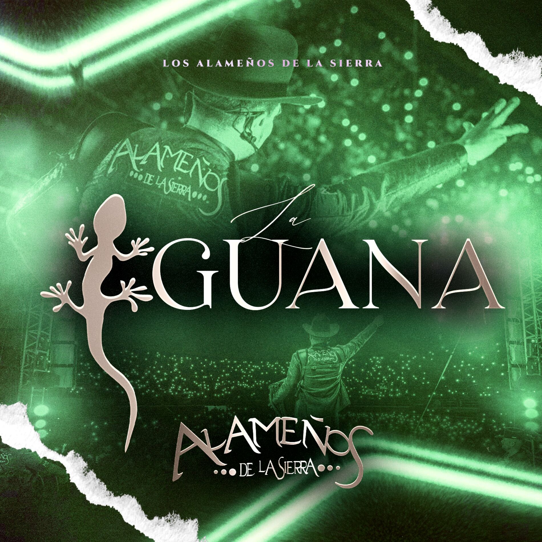 Album picture of La Iguana
