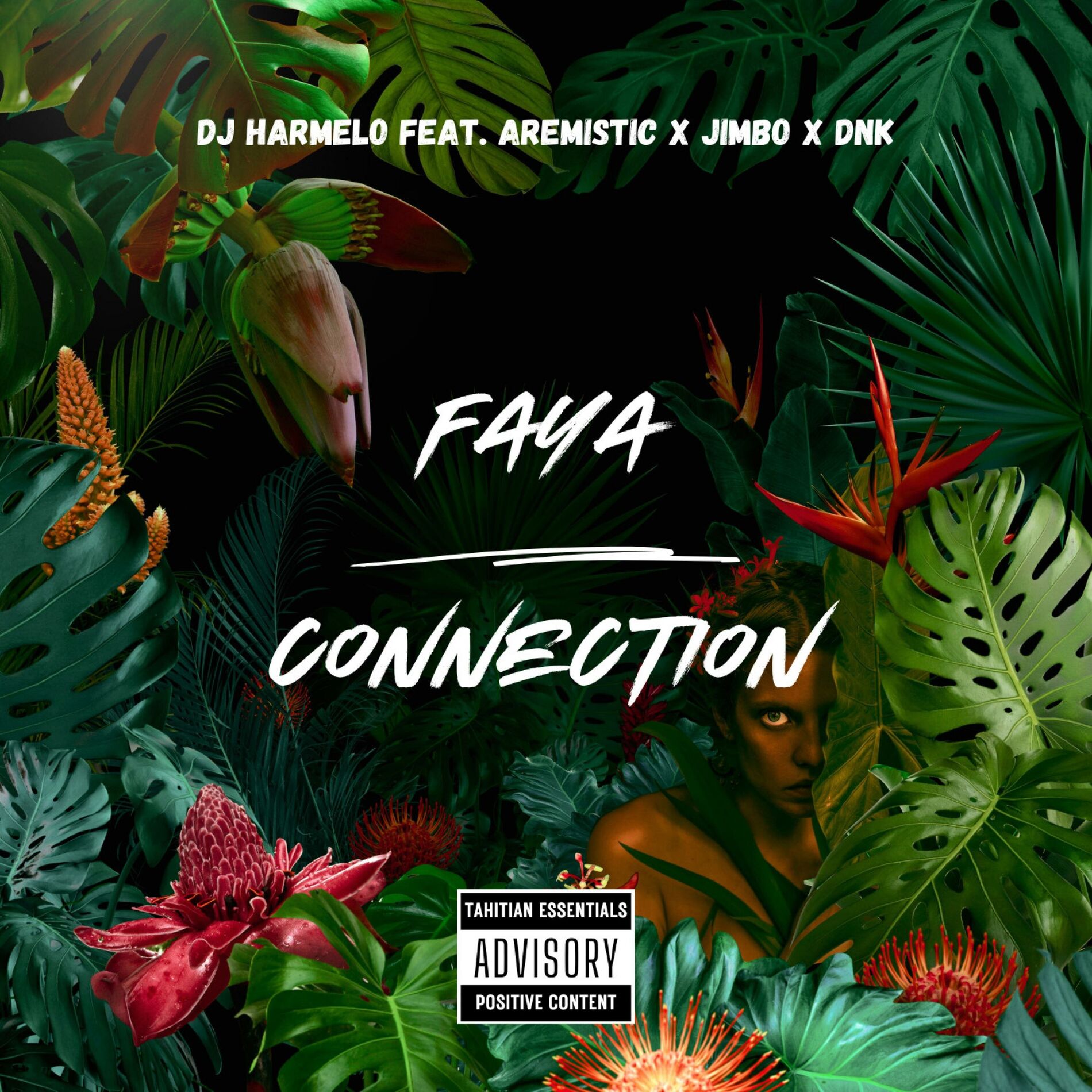Album cover of Faya Connection (feat. Aremistic, Jimbo & Dnk)