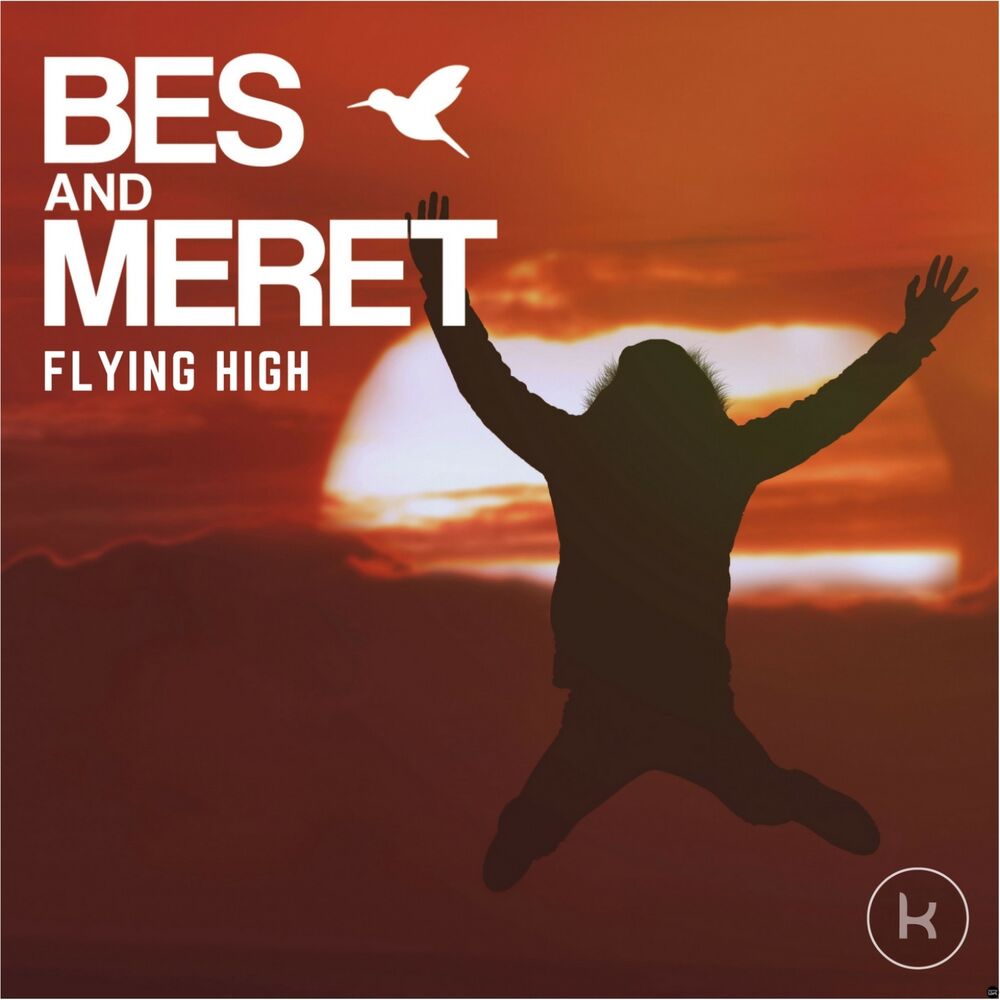 Picture of Flying High