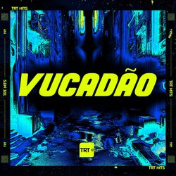 Cover of VUCADÃO