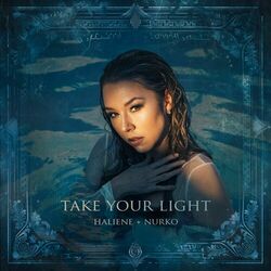 Cover of Take Your Light