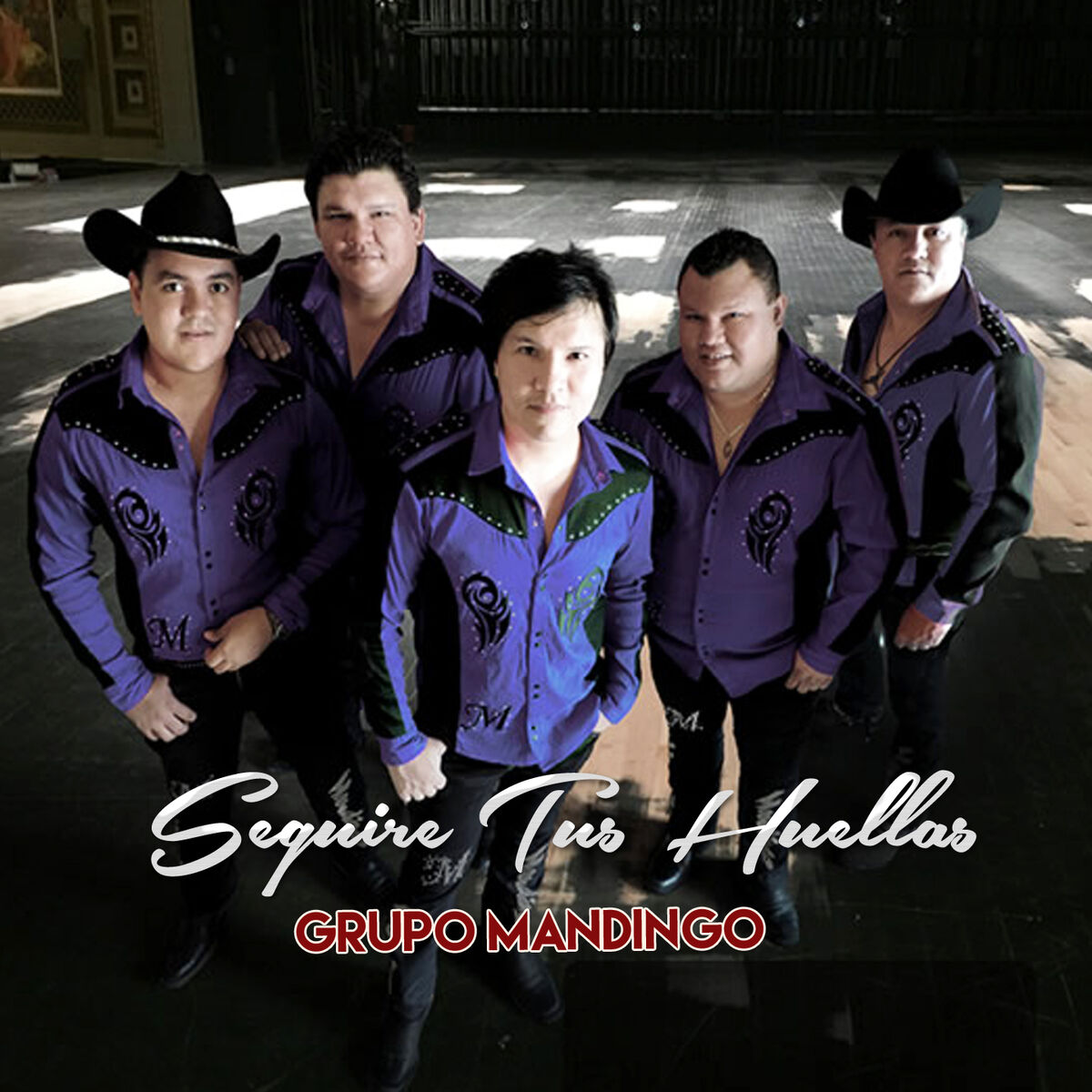 Album cover of Seguire Tus Huellas
