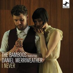 Cover of I Never