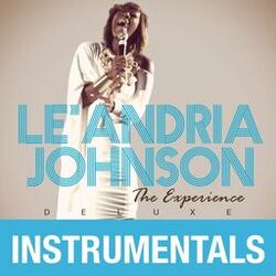 Cover of The Experience (Instrumentals)